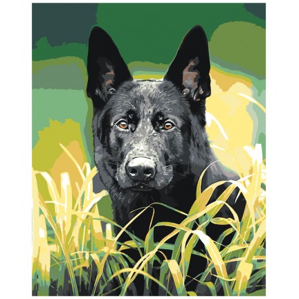 Maalid numbrite järgi Z-Z4269