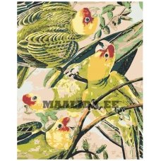 Maalid numbrite järgi Z2971