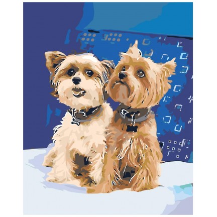 Maalid numbrite järgi Z5745