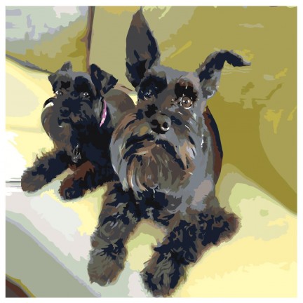 Maalid numbrite järgi ets226v3-4040 Maalid numbrite järgi ets226v3-4040