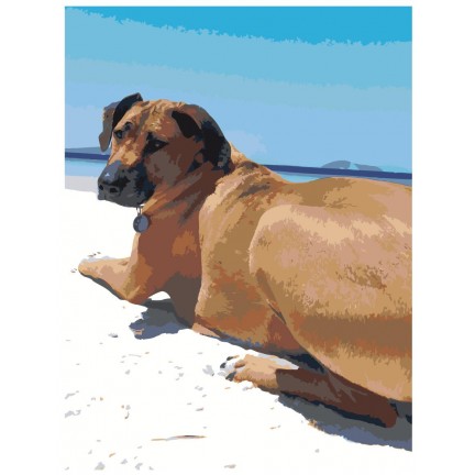 Maalid numbrite järgi ets506-30401 Maalid numbrite järgi ets506-30401