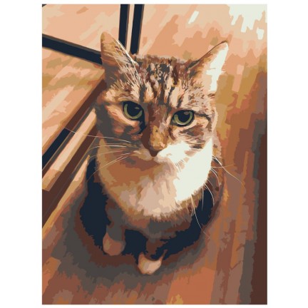 Maalid numbrite järgi zgena110320-4-3040