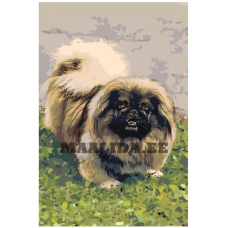 Maalid numbrite järgi z5489