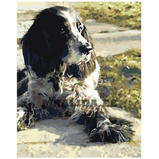 Maalid numbrite järgi z5800