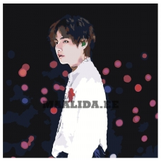 Maalid numbrite järgi z6036