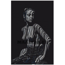 Maalid numbrite järgi z6292