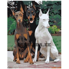 Maalid numbrite järgi z6768