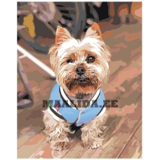 Maalid numbrite järgi z69281