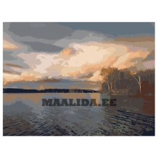 Maalid numbrite järgi z69741