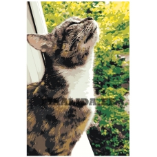 Maalid numbrite järgi z76202