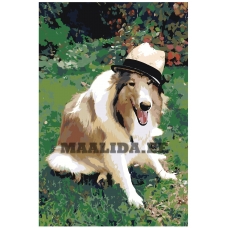 Maalid numbrite järgi zai499790-4060