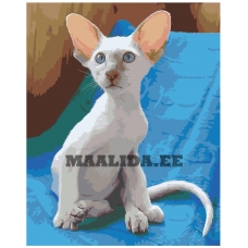 Maalid numbrite järgi zai501590-4050