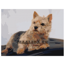 Maalid numbrite järgi zai501847-3040