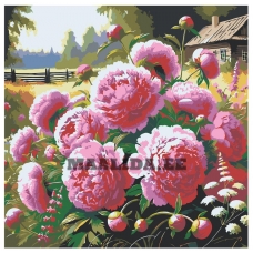 Maalid numbrite järgi zgena050525-1