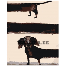 Maalid numbrite järgi zgena060624-2