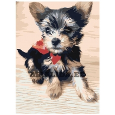 Maalid numbrite järgi zgena130420-7