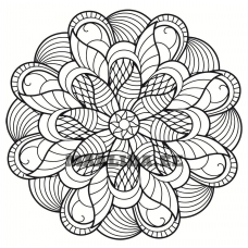 Maalid numbrite järgi zgena171219-3-2-4040